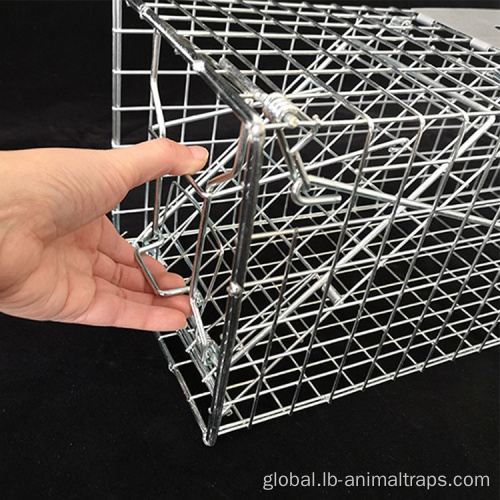 Squirrel Trap Cage portable humane live animal trap smart trap cage Factory